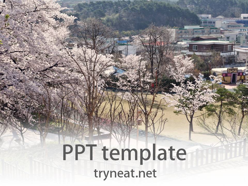 무료 PPT 템플릿 2261